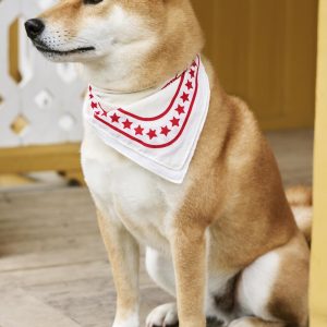 Foulard pour chien - Blanc cassé