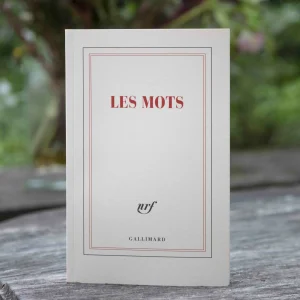 carnet - Les Mots